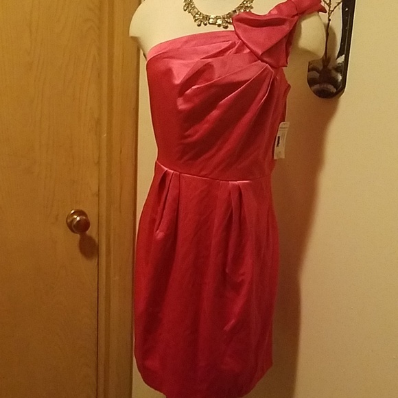 Bisou Bisou Dresses & Skirts - Pink Special Occasion Dress